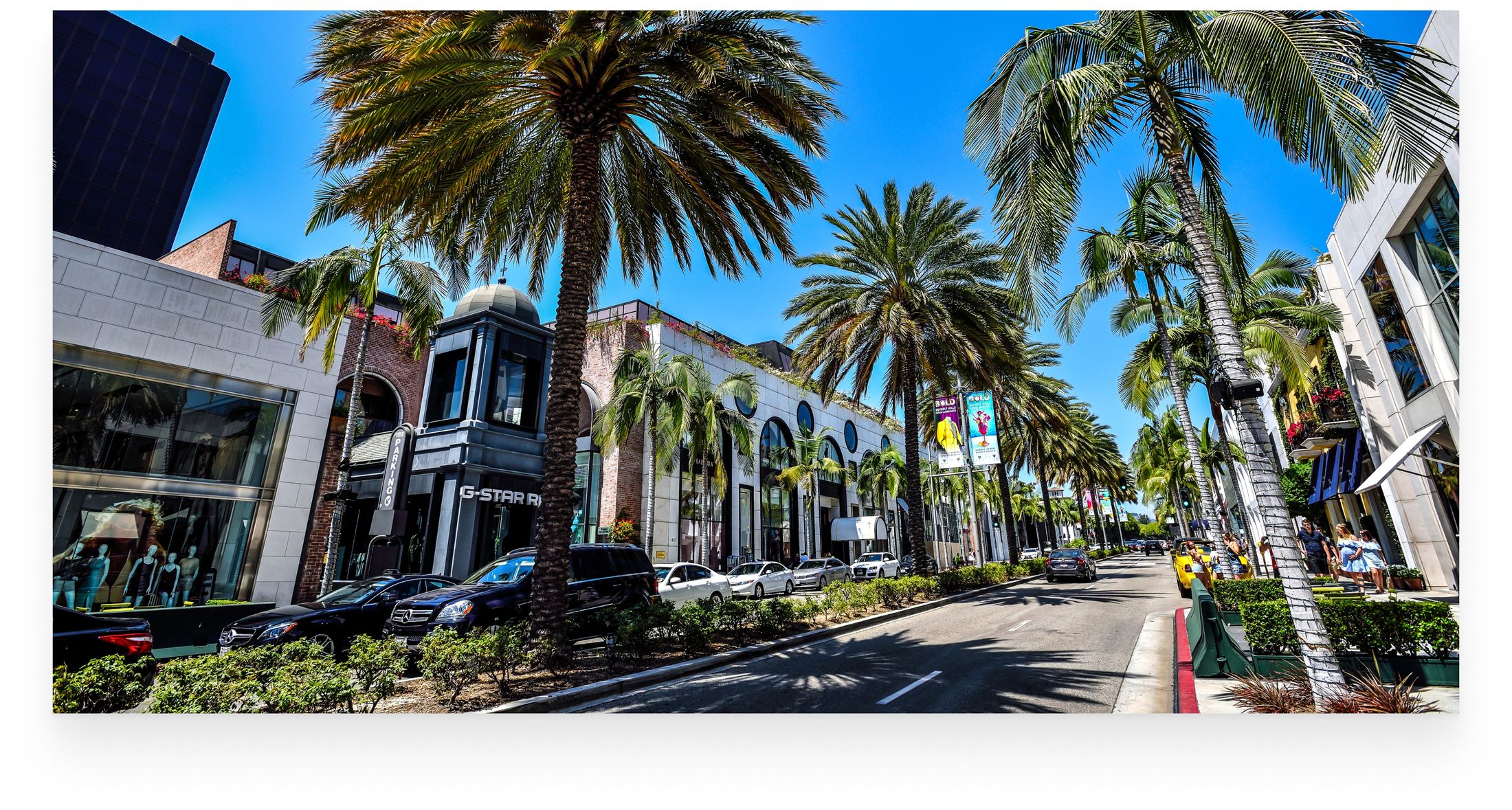 Street view lined with palm trees and shops.