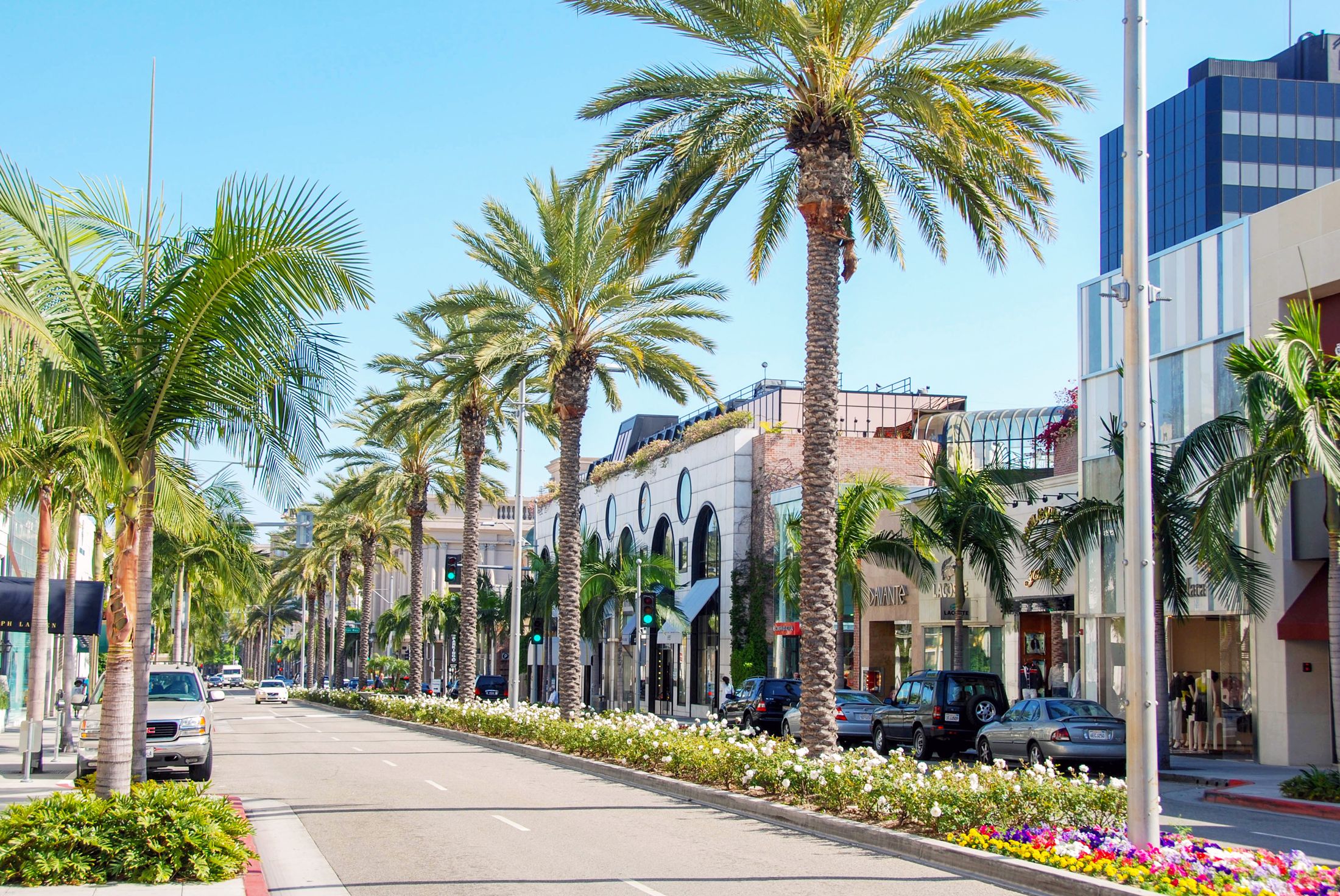Palm-lined street with shops and blue sky.